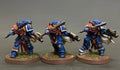 Warhammer 40K Victrix Honour Guard Ultramarines
