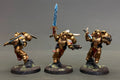 Warhammer 40K Blood Angels Sanguinary Guard