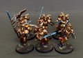 Warhammer 40K Blood Angels Sanguinary Guard 2 sets